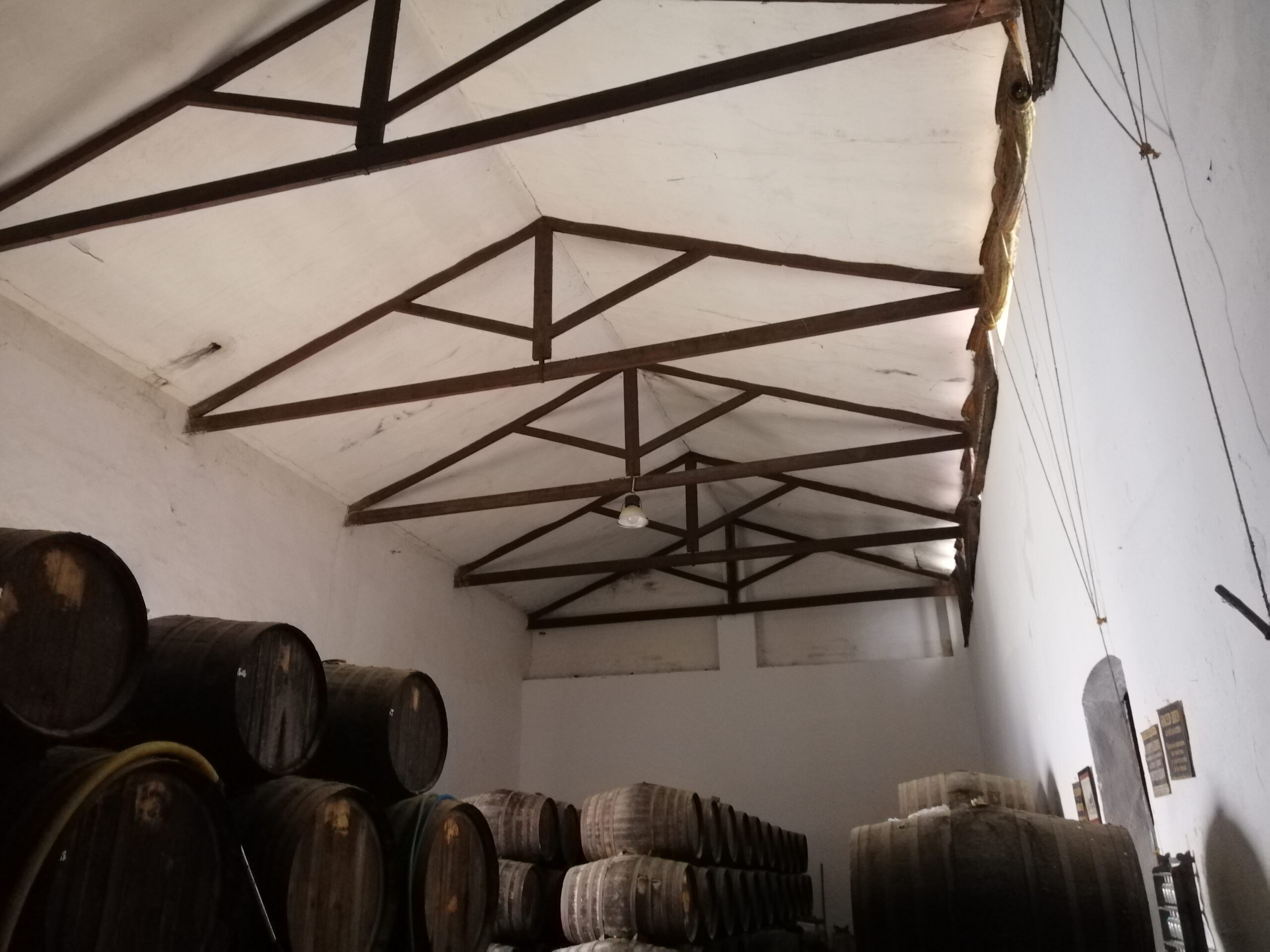 bodega-herruzo-12-scaled