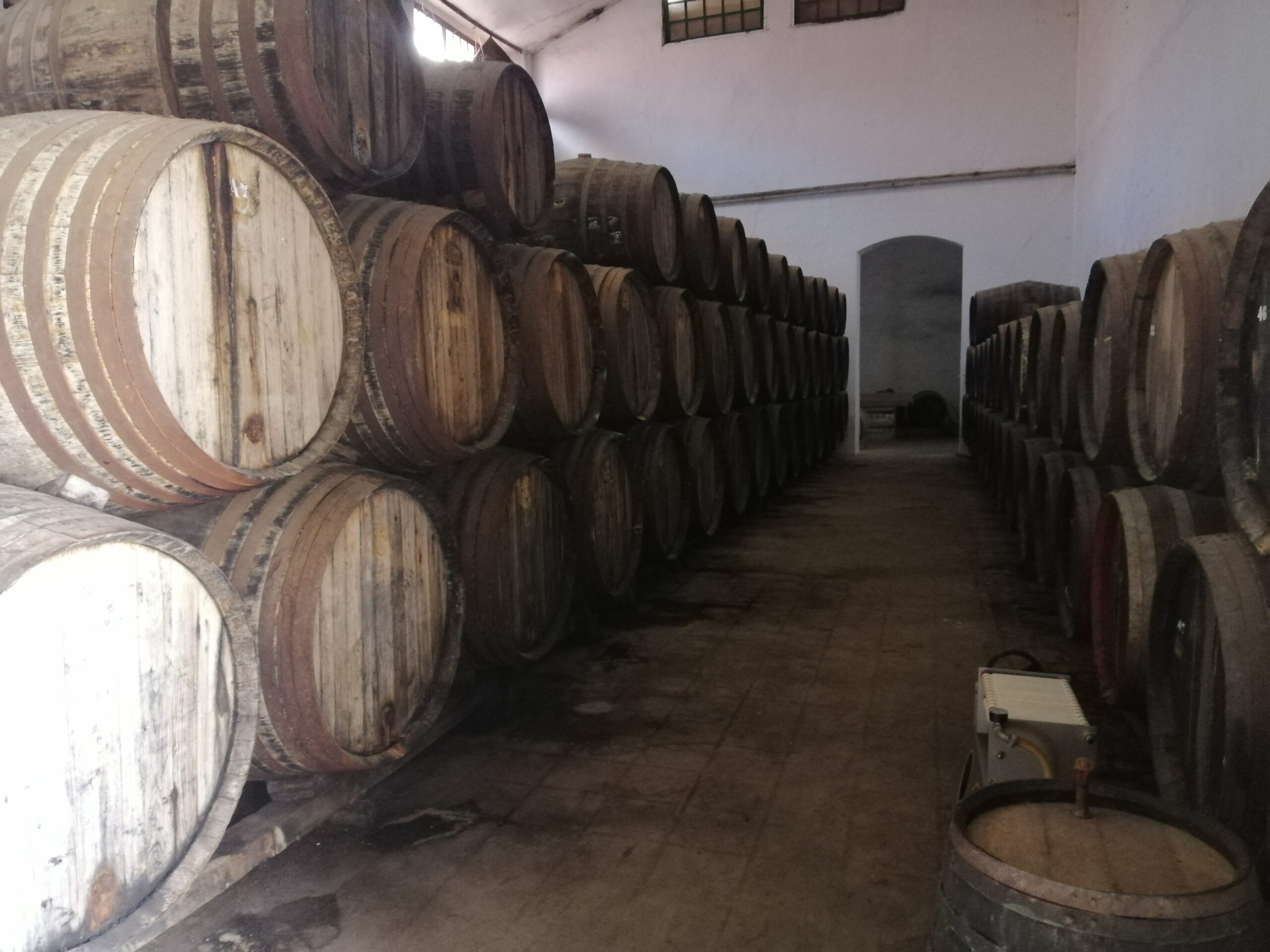 bodega-herruzo-7-scaled