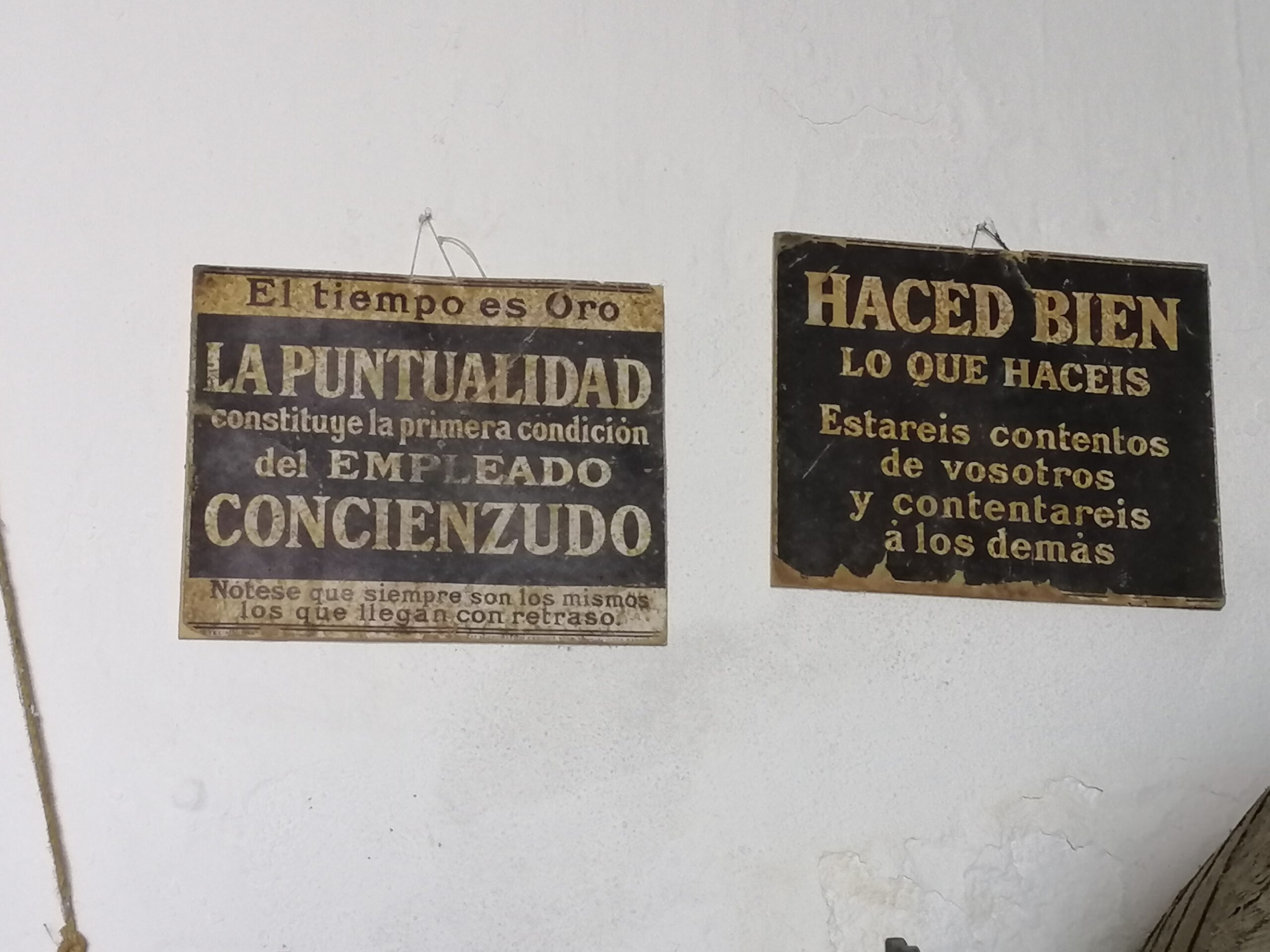 bodega-herruzo-8-scaled